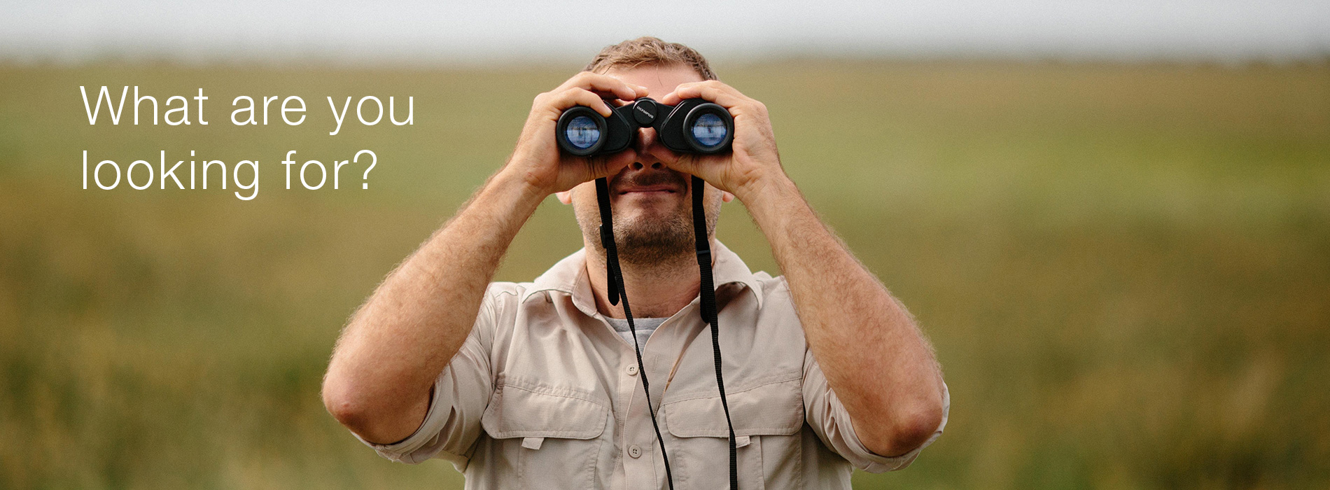 What are you looking for?