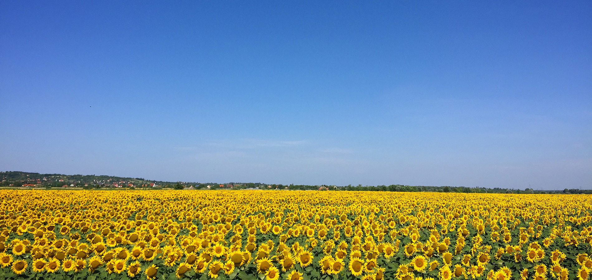 FEELING HOME SICK? :(